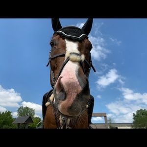 Meet your Posher, Maya